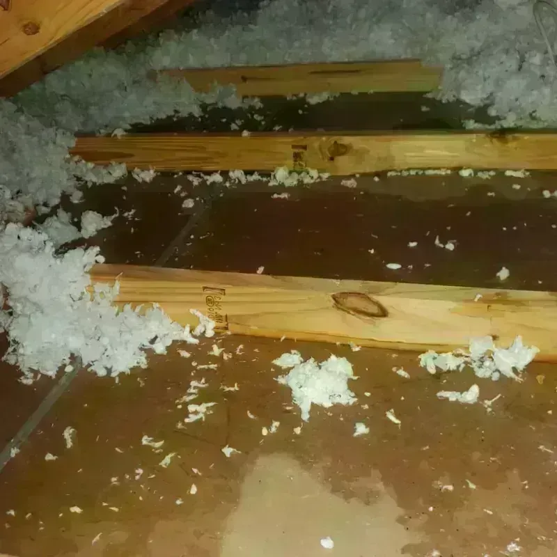 Attic Water Damage in Danbury, TX