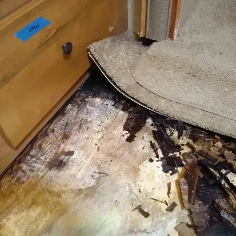 Wood Floor Water Damage in Danbury, TX